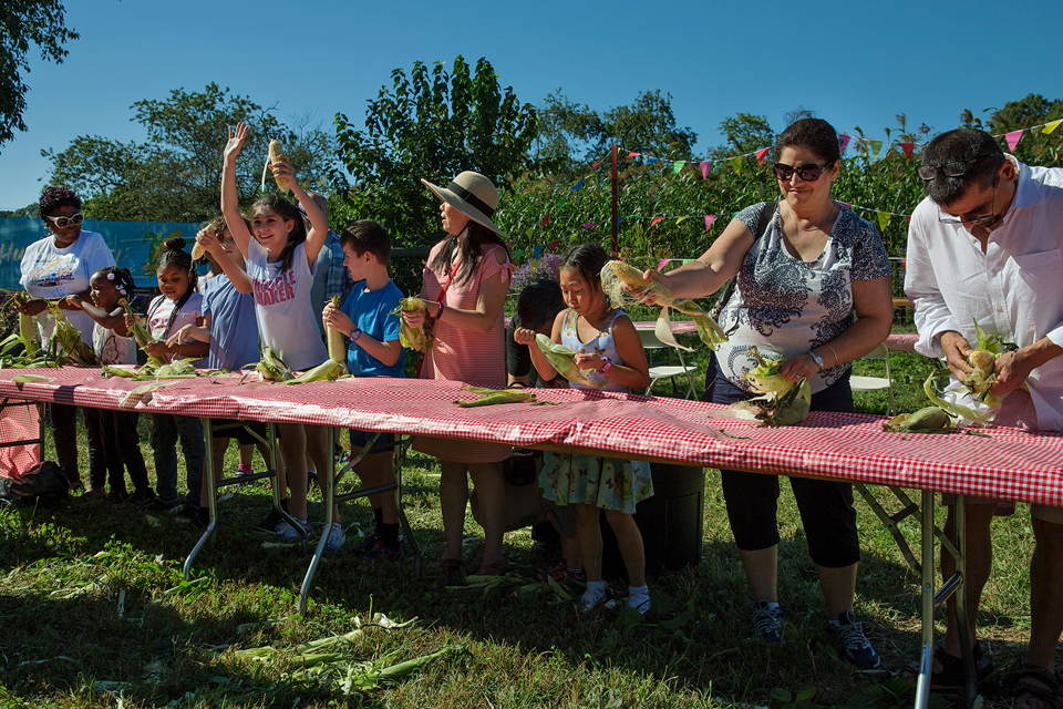 Try your hand at corn husking and more analog entertainment during the Corn Fest at the Queens County Farm Museum. Photo courtesy of the Queens County Farm Museum
