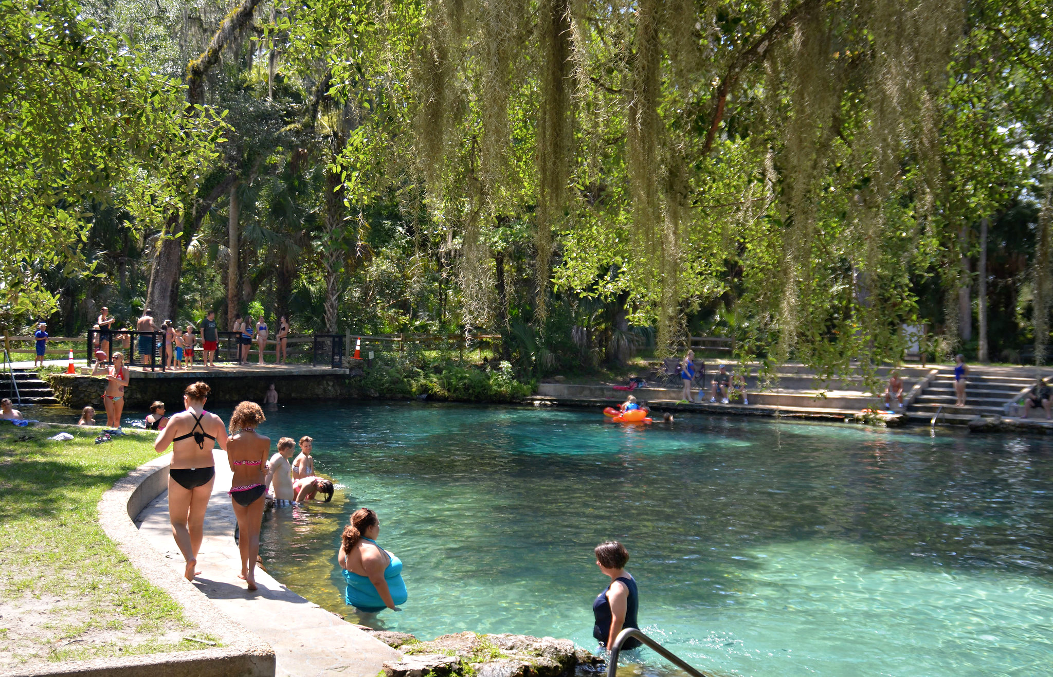 Top 10 Natural Springs in Florida Near Orlando Swim at the freshwater Juniper Springs in Silver Springs, Florida. US Forest Service photo by Susan Blake